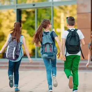 schools-guide-C4umo1Fi